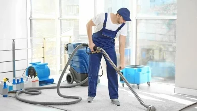 Carpet Cleaning Services: What to Look for in a Provider